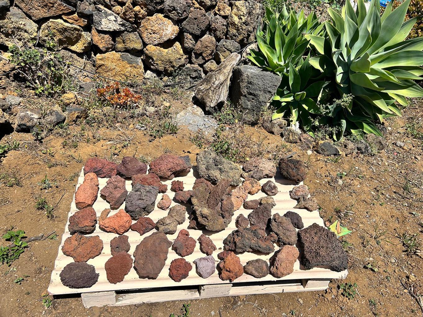 Juaclo El Hierro Séjour chez l'habitant